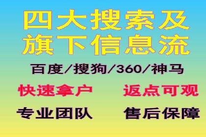案例研究：SEM开户助力电商快速崛起